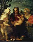 Andrea del Sarto Madonna and child with Sts Catherine and Elizabeth,and St John the Baptist oil painting artist